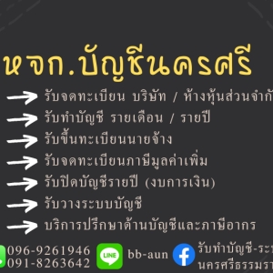 รับวางระบบบัญชี