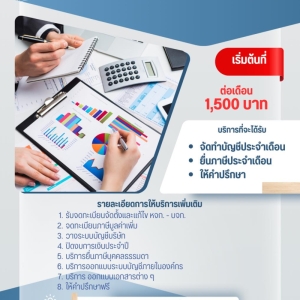 รับวางระบบบัญชี