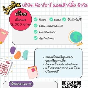 รับวางระบบบัญชี วางแผนภาษี