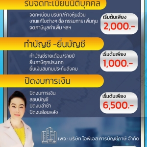 วางระบบบัญชี วางแผนภาษี
