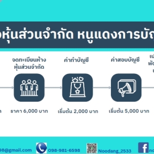 รับวางระบบบัญชี วางแผนภาษี