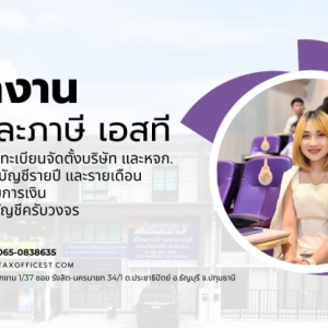 วางระบบบัญชี