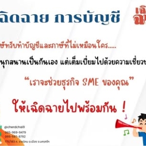 รับวางระบบัญชี วางแผนภาษี