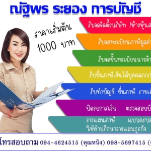 รับวางระบบบัญชี