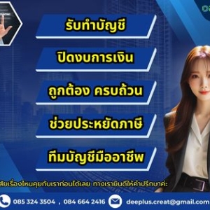 วางระบบบัญชี